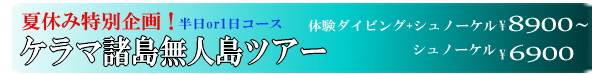 沖縄半日ケラマ諸島ダイビング、シュノーケル